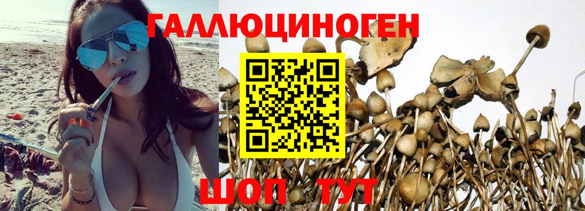 Елабуга  Псилоцибиновые грибы Psilocybine cubensis  Псилоцибиновые грибы мухоморы  Вход с VPN 